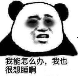 带你吃瓜 体育圈饭圈化,带你吃瓜，揭秘饭圈文化在体育领域的崛起