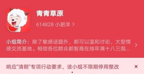 吃瓜网站 八卦爆料网,揭秘娱乐圈幕后真相，吃瓜群众必看！